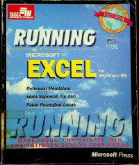Image of RUNNING MICROSOFT EXCEL for Windows 95